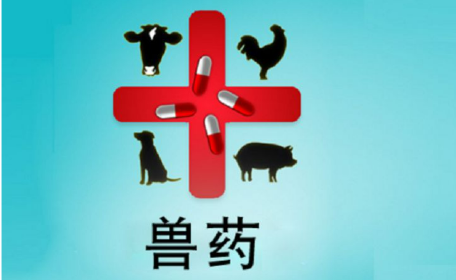 獸藥許可證辦理條件有哪些？如何辦理獸藥許可證？